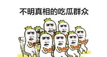 吃瓜群众形容什么,吃瓜群众眼中的明星生活