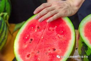 上海学院吃瓜,吃瓜群众的热议焦点