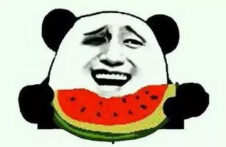 抱着吃瓜,揭秘娱乐圈的幕后故事