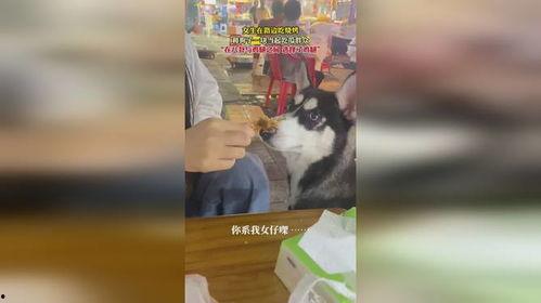 吃瓜小狗特效女孩,揭秘网络红人的魅力与影响力