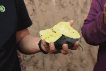 吃瓜 赤峰,吃瓜群众眼中的魅力之城