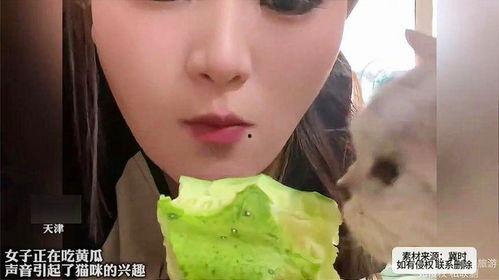 东北女人吃瓜,麻辣吃瓜，笑谈人生