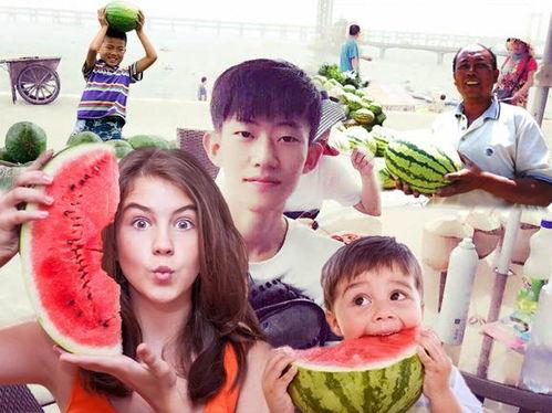 p图吃瓜动画,揭秘网络恶搞背后的趣味与争议