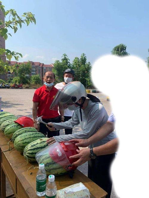 青海吃的瓜事件,揭秘瓜农困境与市场变革