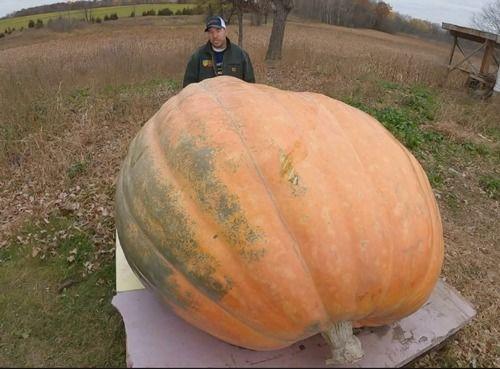 吃瓜吃多了吐,揭秘网络舆论背后的真相