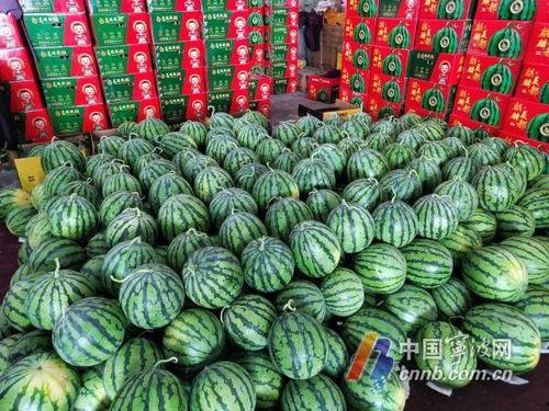 吃瓜商,揭秘网络红人背后的故事