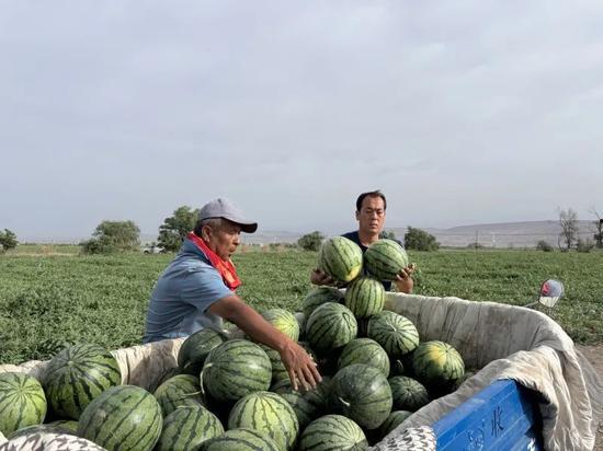 隆尧吃瓜后续,揭秘背后真相与网络舆论风暴