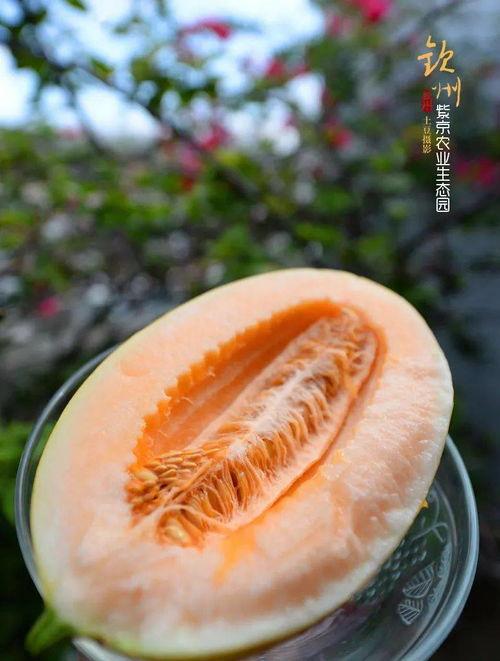 理性吃瓜过好自己,轻松过好每一天