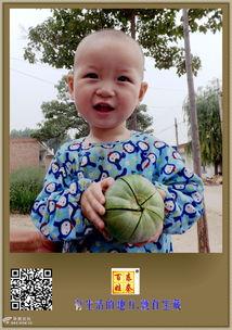 吃瓜小盆友文案,揭秘娱乐圈那些事儿