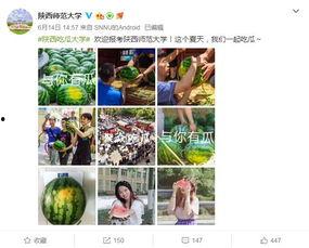 网络吃瓜大学,大学生群体的社交新趋势